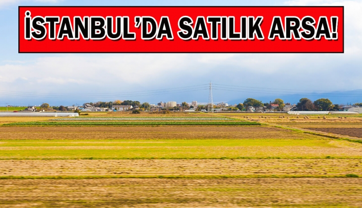 Tuzla Belediyesi 2 adet arsa satıyor! Tuzla Aydınlı'da imarlı arsa fırsatı!