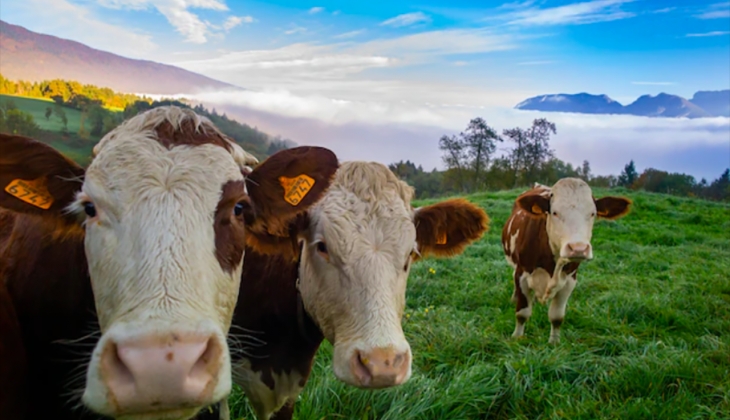 Besicilere büyük destek! Resmi Gazetede yayımlandı! Kimler yararlanacak? İşte yanıtı