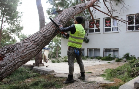 İskenderun'daki 25 okul onarılıyor!