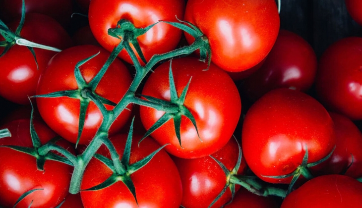 Domates üreticisinden dikkat çeken sözler! Artık lüks oldu, parası olmayan yemeyecek! İşte 15 Nisan 2022 fiyat listesi