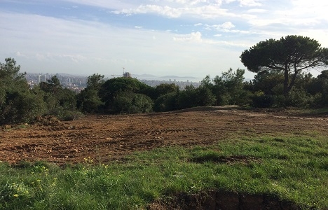 Bilfen Küçükçamlıca'daki arazisine otel mi yapacak?