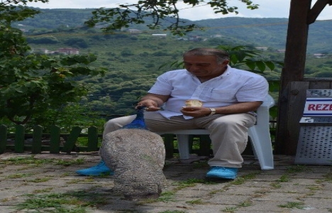 Karadeniz Kuş Cenneti açıldı!