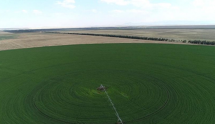 Sahte emlakçılar şimdi de hazine arazilerine dadandı! Satılık Hazine arazisi tuzağına binlerce kişi düştü! 