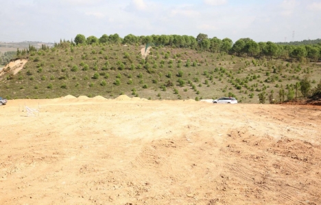 Darıca Belediyesi'nden mesire alanında inşaat ihalesi!