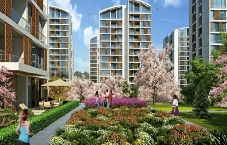 Resim İstanbul Orman etabı fiyatları!