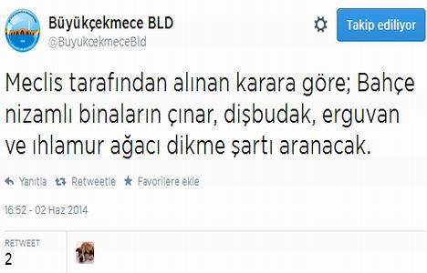 Büyükçekmece de bu ağaçları dikmeyene bahçeli ev yok!