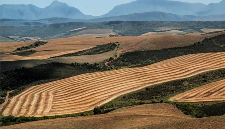 O belediye KDV’den muaf 5 arsa satacak! Arsa almak isteyenlere müjde!