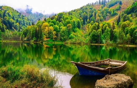 Artvin Karagöl Milli Parkı'ndaki HES'e iptal kararı!