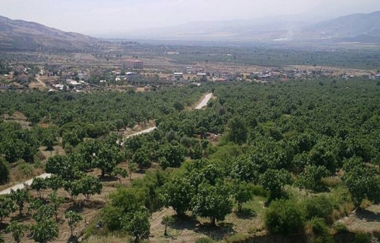 Buharkent'te 3.5 milyon TL'ye satılık arsa!