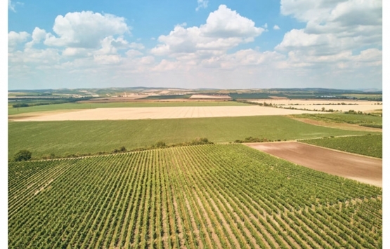 Tapu kaydı olmayan arsada sınırlar nasıl belirlenir?