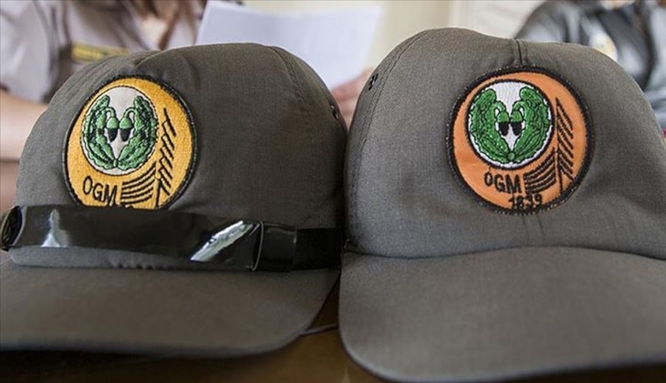 Orman Genel Müdürlüğü personel alımı kadroları belli oldu! Orman Bakanlığı personel alımı ne zaman?