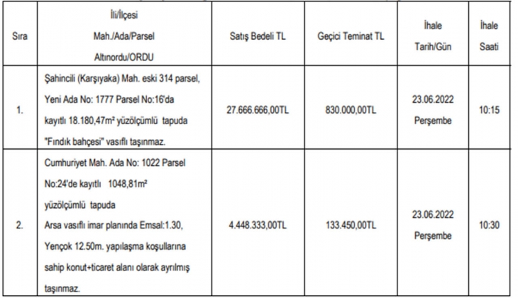 Belediyeden son dakika fırsatı! Fındık bahçesi satıyor!