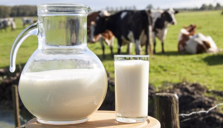 Artık süt bulmakta zorlanacağız! Süt krizi geliyor