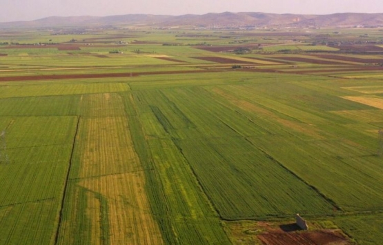 16 ilde 191 araziye düzenleme!