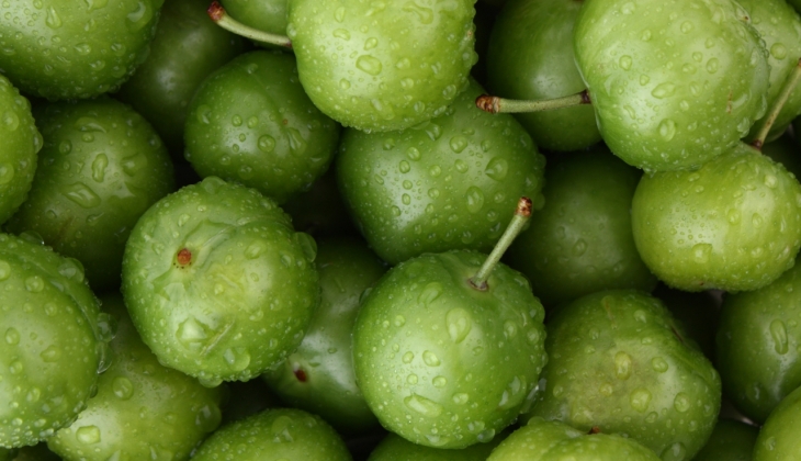  Yeşil eriğin kilo fiyatı, görenleri hayretler içerisinde bıraktı