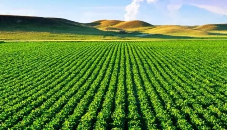 Milli Emlak tan İzmir de arsa satışı! Bu habere hemen bakın!