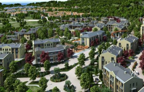 Ormanada Zekeriyaköy resimleri!