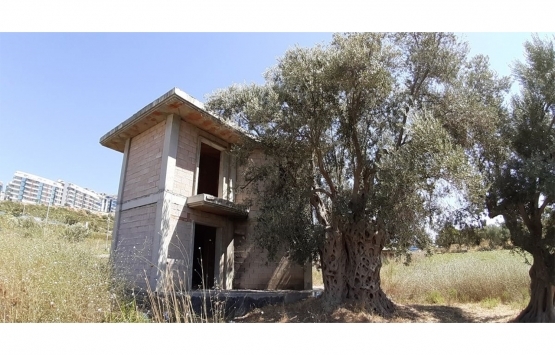 Aydın'da anıt ağaç tescil başvurusu bulunan ağacın yanına inşa edilen villaya tepki!