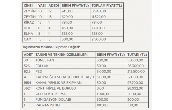 Mersin Tarsus ta 18.8 milyon TL ye satılık arsa!