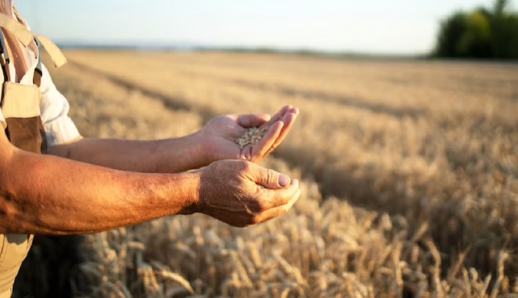 Çiftçiler müjde ödemeler hesaplara yattı: Vergi kimlik numarasının son rakamı 1-3-4-5-6-7-8-9 hemen hesaplarınıza bakın!