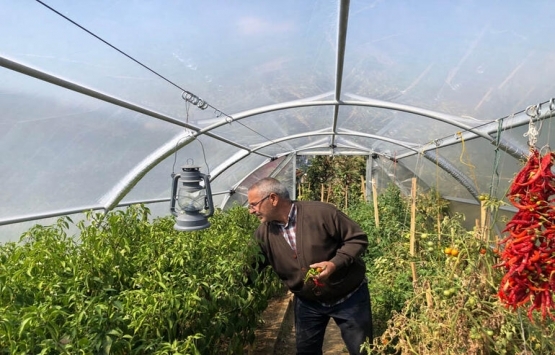 Bursa Göktepe de araziler iki kat değerlendi!