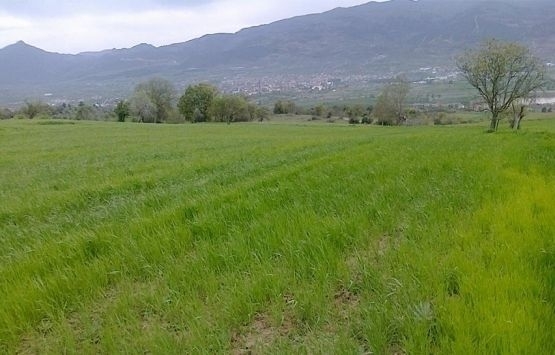 Arsanın devrinin sağlıklı olup olmadığı nasıl anlaşılır?