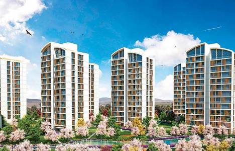 Resim İstanbul satışa çıktı!