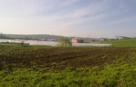 Antalya Alanya'da 1.8 milyon TL'ye satılık tarla!