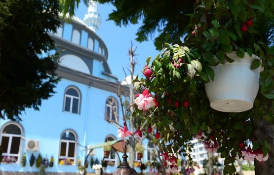 Giresun da 41.4 milyon TL ye satılık 8 gayrimenkul!