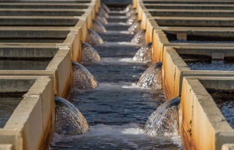 İzmir Menemen'de ÇED raporuna iptal geldi!
