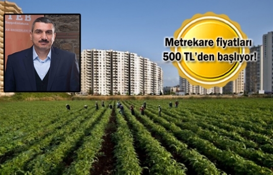 Yol projeleri ve kaçak villalar arazi fiyatlarını uçurdu!