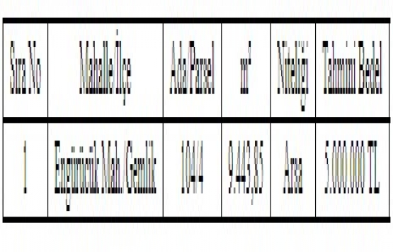 Gemlik Belediyesi nden 5 milyon TL ye satılık arsa!