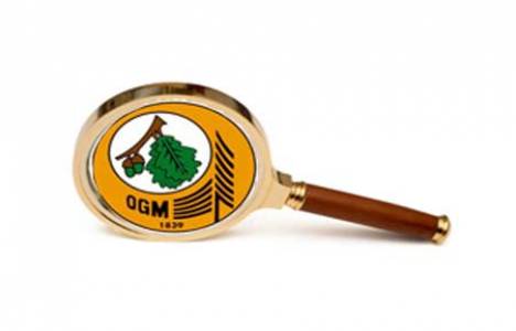 Orman Genel Müdürlüğü Teftiş Kurulu Yönetmeliğinde Değişiklik!