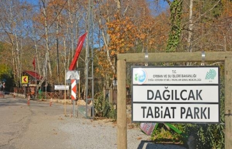 Kozan Belediyesi Dağılcak Tesisleri yenileniyor!