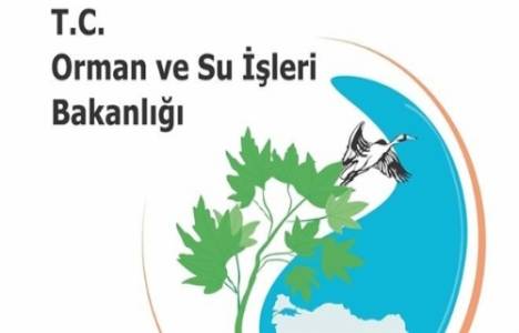 Orman ve Su İşleri Bakanlığı 113 yeni tesis açıyor!