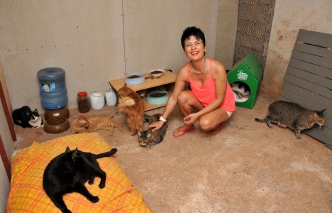 Antalya'da sokak kedileri için tripleks villa kiralandı!