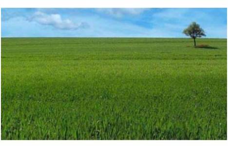 Taşınmaz kira mevzuatı!