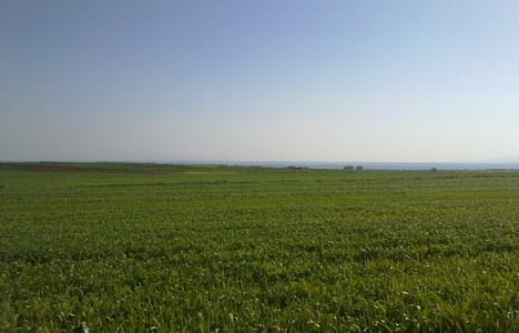 Miras tarlası olanlar için son gün ne zaman?