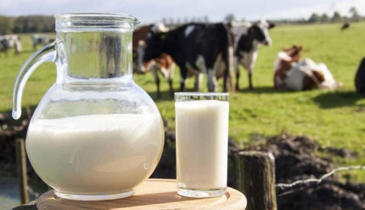 Süt satışlarında şok gelişme! TİGEM de zarar etti