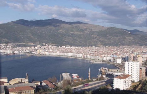 Bursa Gemlik'te 3.2 milyon TL'ye satılık zeytinlik!