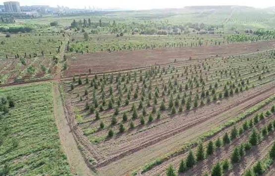 Levent Gök ten AOÇ arazisinin 74 dönümünün kiraya verilmesine tepki!