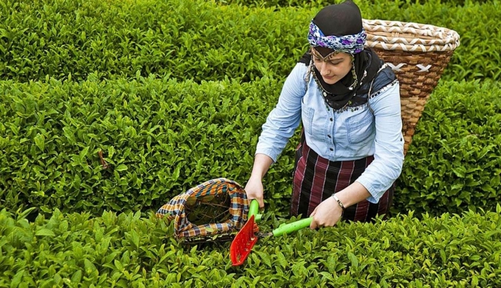 Çay tiryakileri zevkten dört köşe oldu! Acele eden yetişir.. Fırsatı kaçırma
