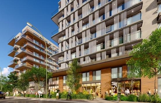 2019 da kaç yeni proje satışa çıktı?