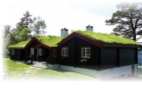 Yeşil çatılar enerji tasarrufu sağlıyor!