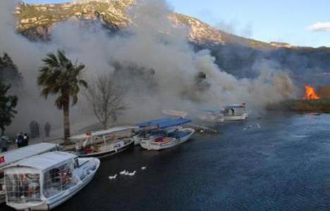 Muğla Akyaka'da sazlık alanda çıkan yangın söndürülemiyor!