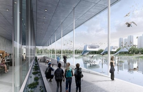 Çin de göçmen kuşlar için çok özel bir havaalanı inşa edilecek!