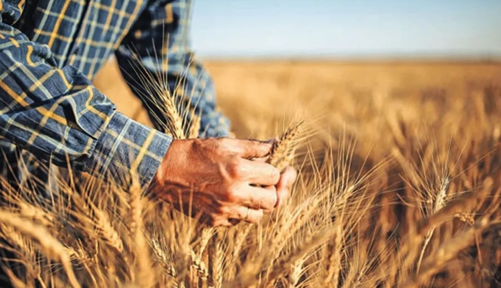 Tarımdaki çıkmaz büyüyor! Yüzde 135,06 oranında arttı