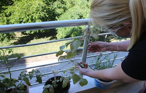 2020 de cam balkon talepleri yüzde 70 arttı!