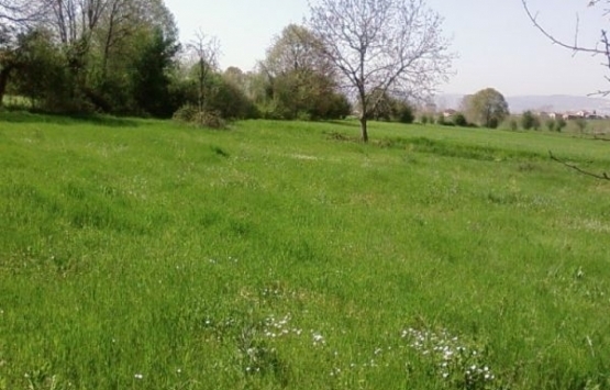 Ortak gayrimenkul nasıl paylaşılır?