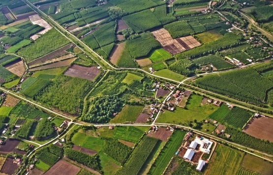 Aydın'da hazine arazilerinde usulsüzlük iddiası!